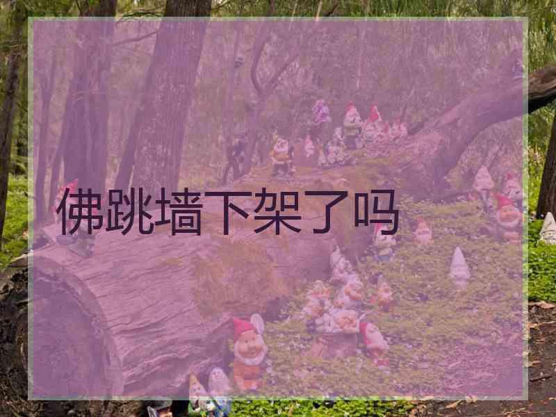 佛跳墙下架了吗