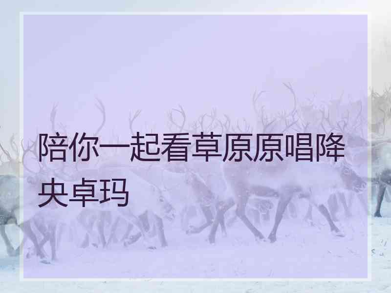 陪你一起看草原原唱降央卓玛