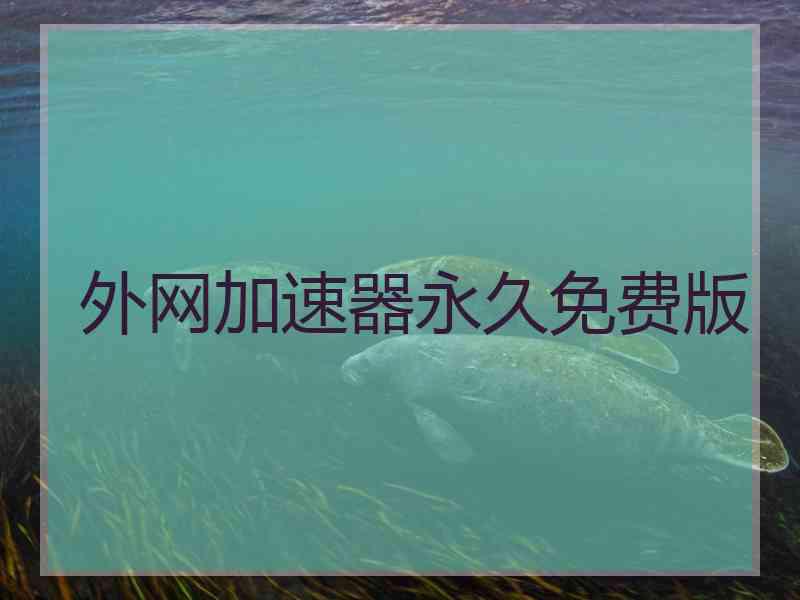 外网加速器永久免费版