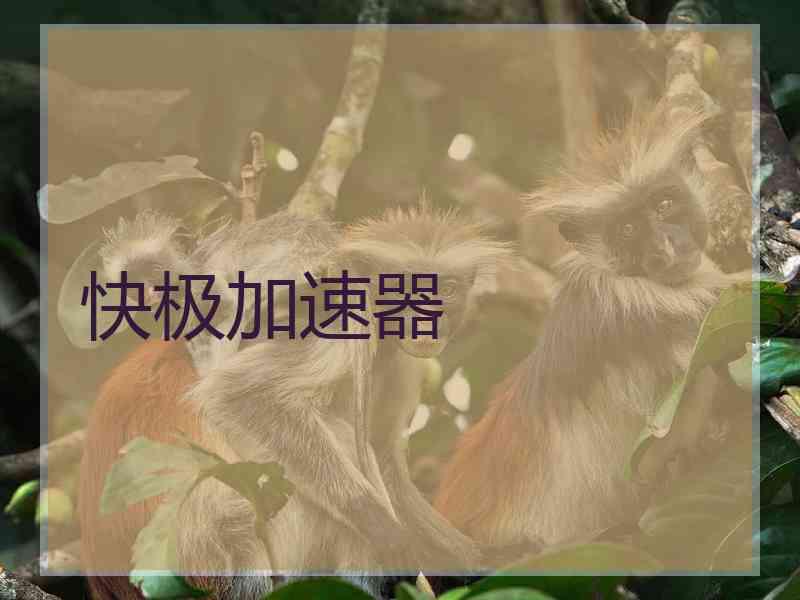 快极加速器