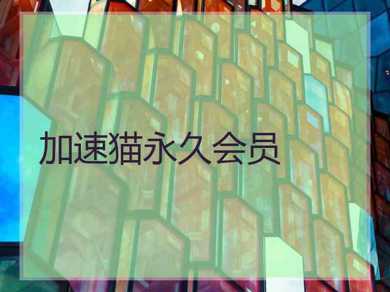 加速猫永久会员