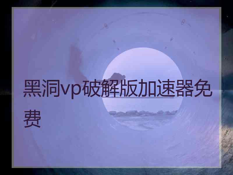 黑洞vp破解版加速器免费