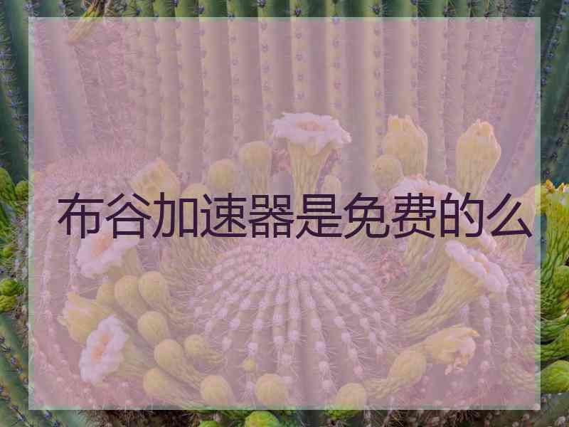 布谷加速器是免费的么