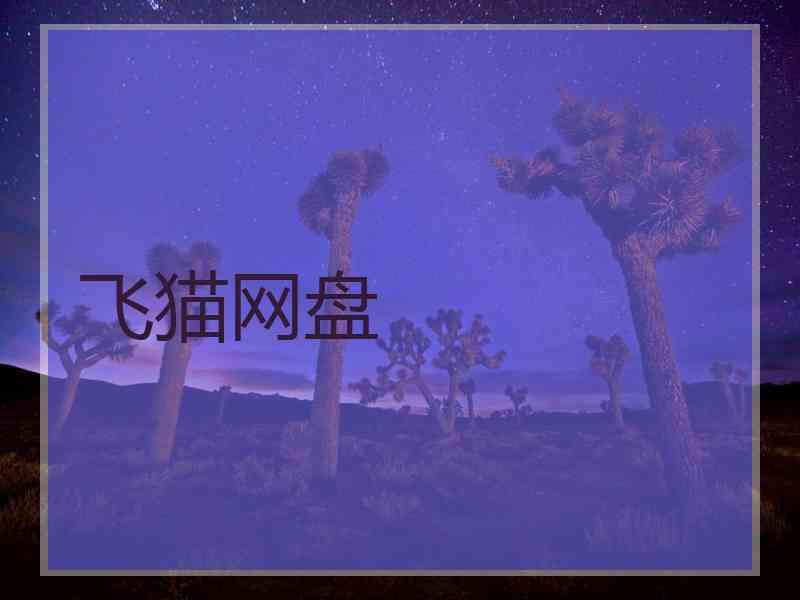 飞猫网盘