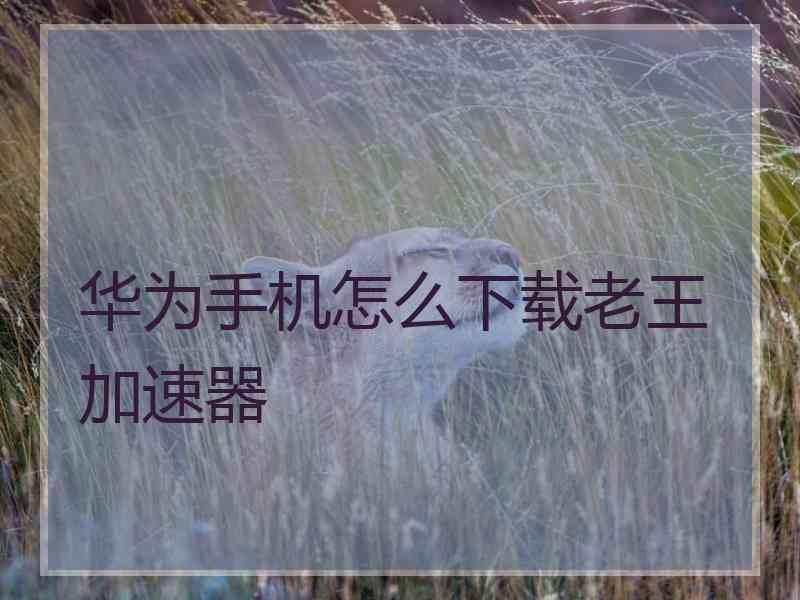 华为手机怎么下载老王加速器
