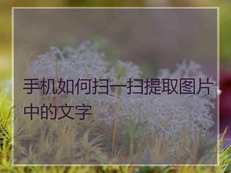 手机如何扫一扫提取图片中的文字