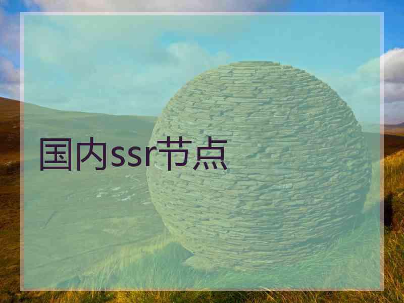 国内ssr节点