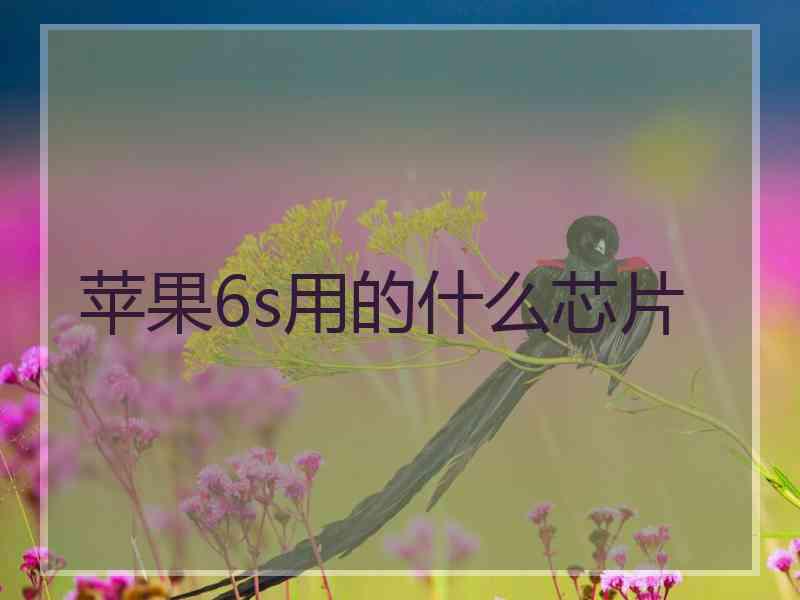 苹果6s用的什么芯片