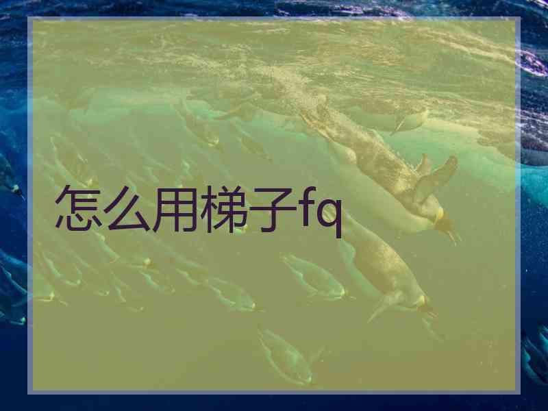 怎么用梯子fq