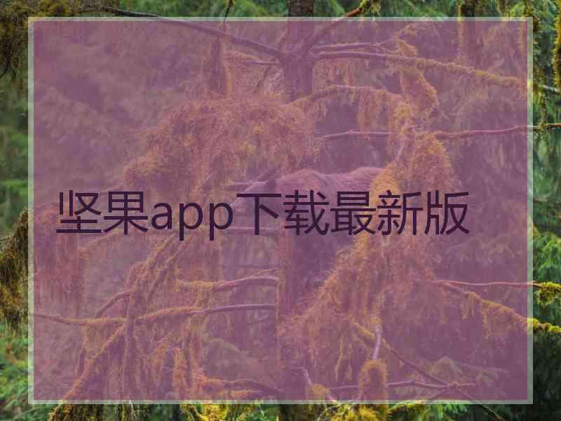 坚果app下载最新版