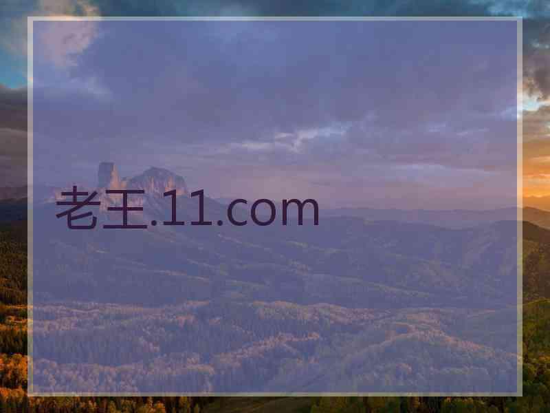 老王.11.com