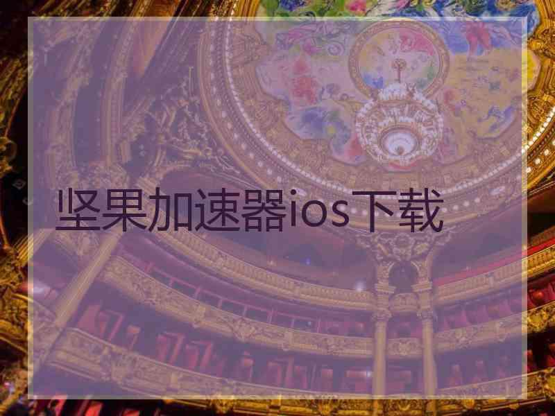 坚果加速器ios下载
